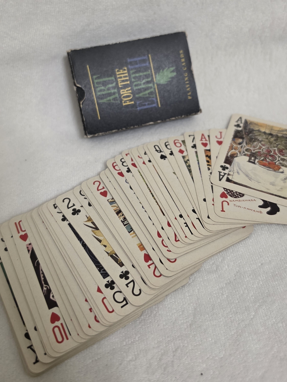 Friends of the Earth Art for the Earth Illustrated Playing Cards Deck